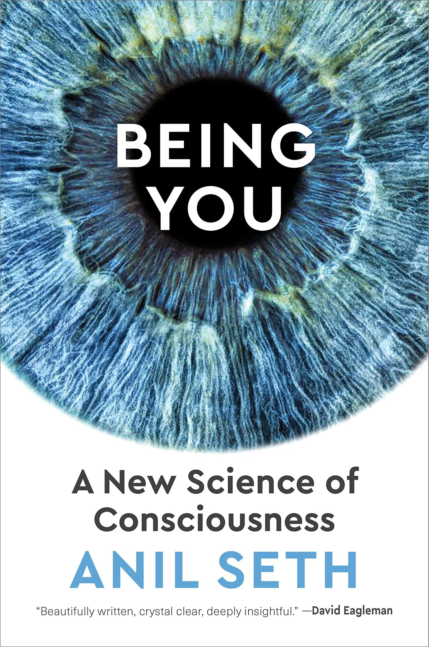 Being You: A Science of Consciousness cover